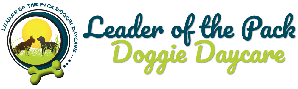 Leader of the Pack Doggie Daycare